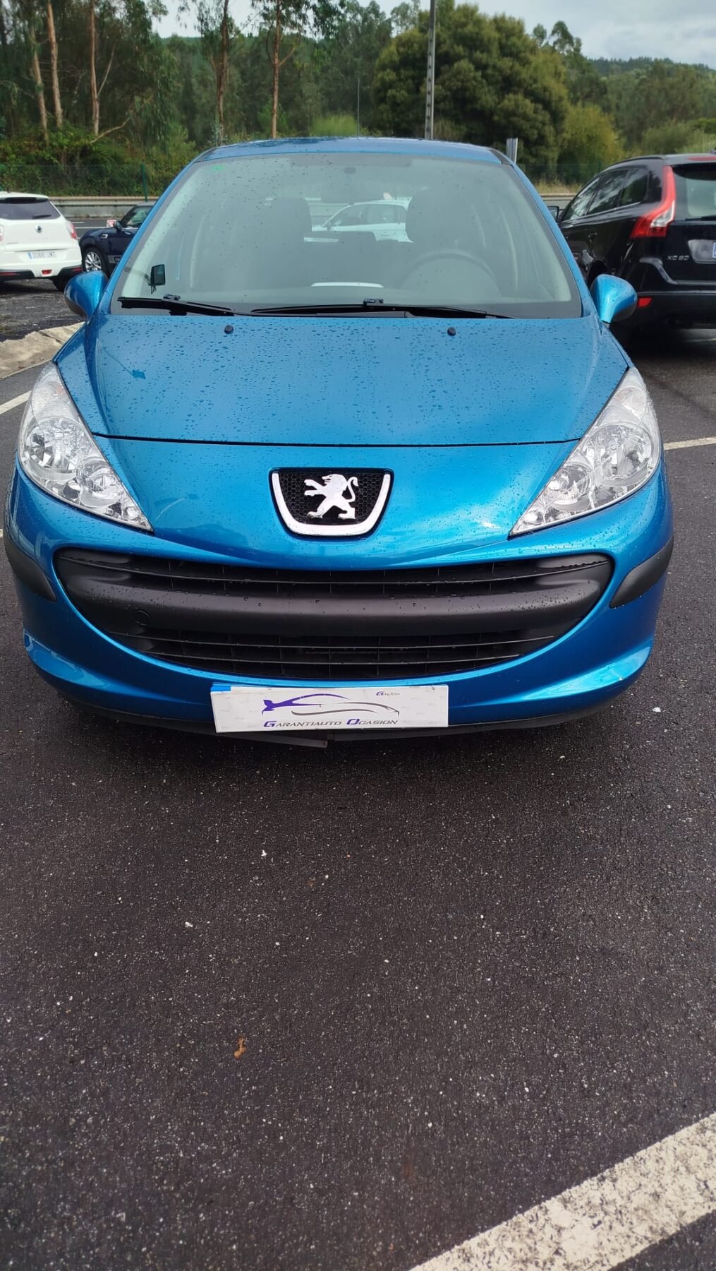 PEUGEOT 207 1.4 gasolina